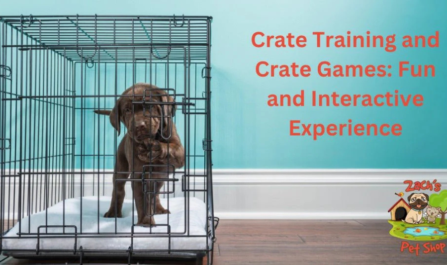 Crate Training