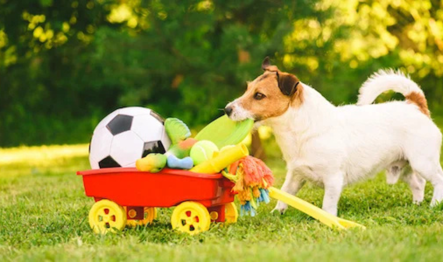 Exercise and Enrichment