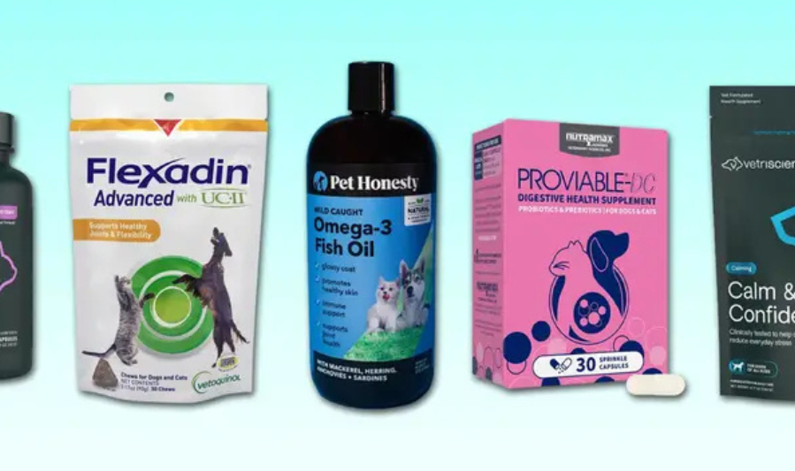 Types of Pet Supplements