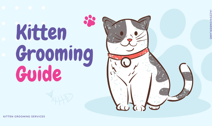 Understanding Your Cat