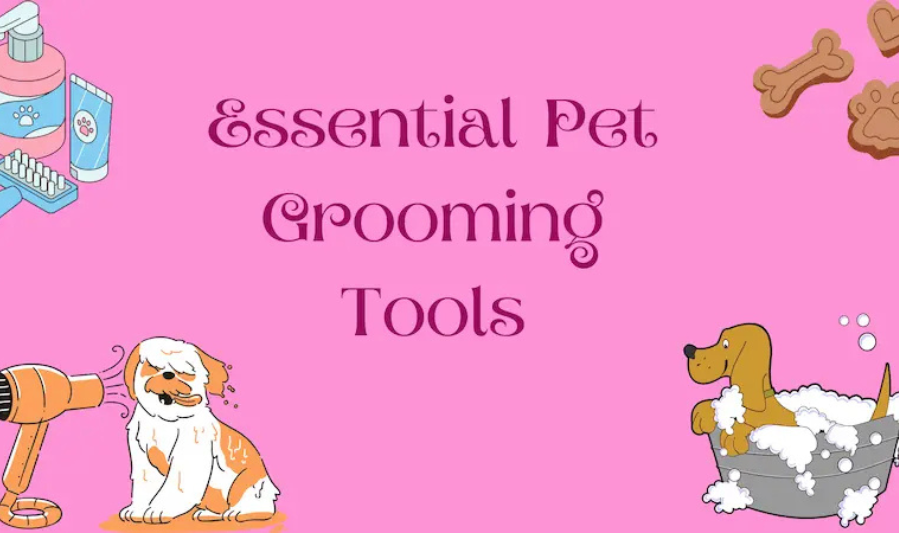 Why Grooming Is Essential for Pets