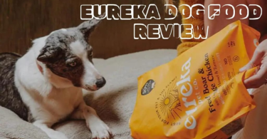 best dog food reviews