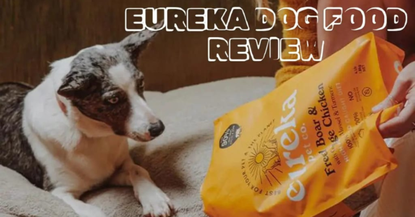 best dog food reviews