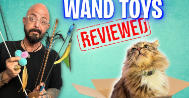 cat toy reviews