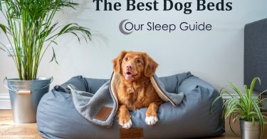 dog bed reviews