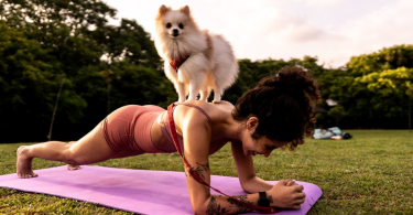 pet exercise and wellness